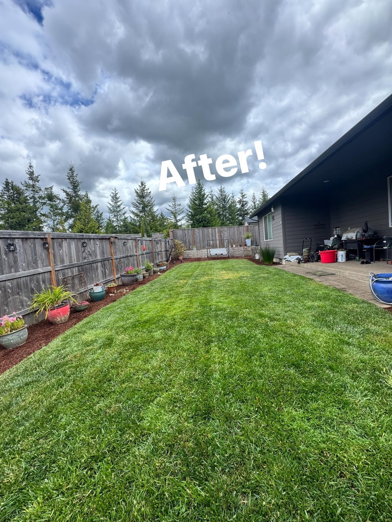 Fence Line Clearing — after