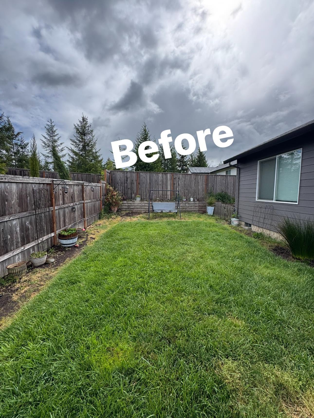 Fence Line Clearing — before