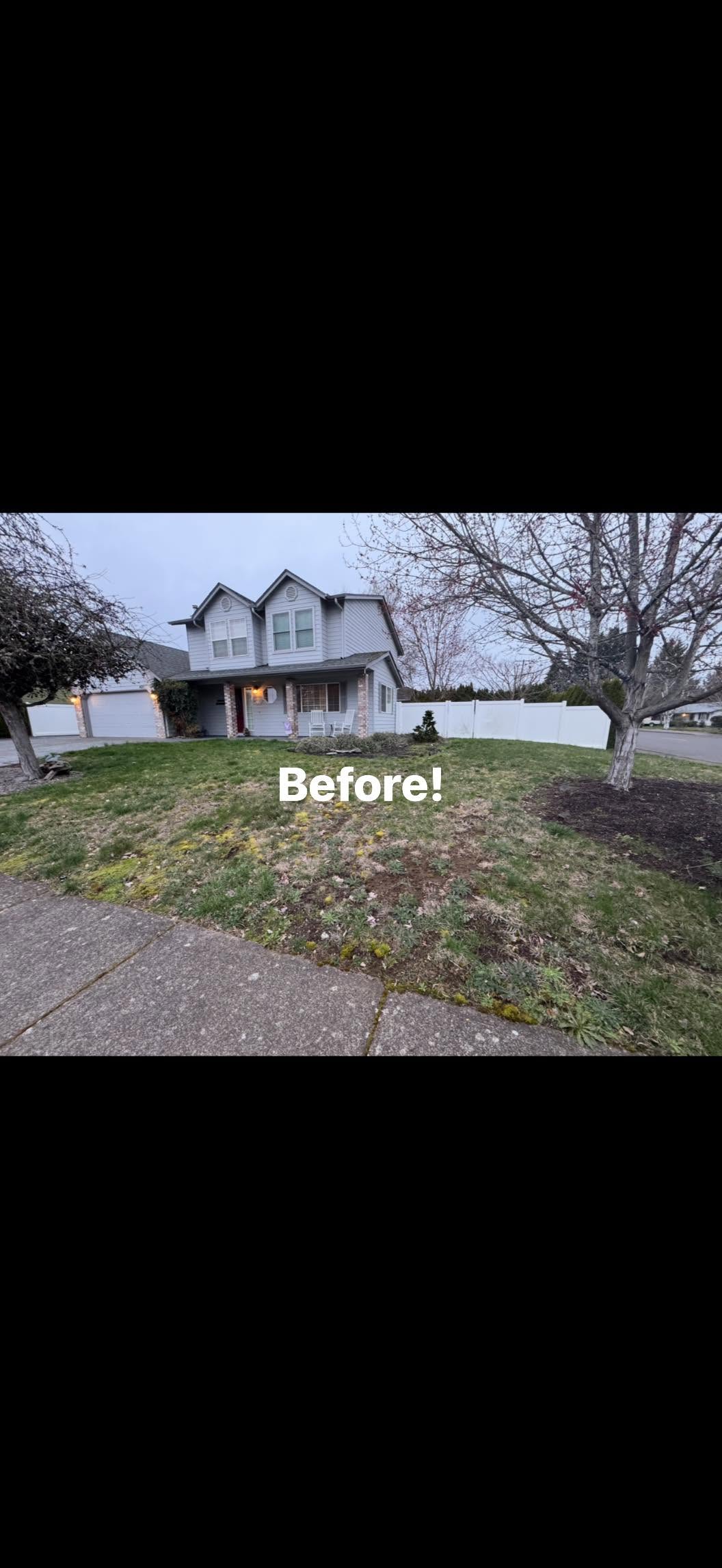 Lawn Recovery Program — before